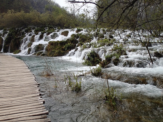 Foto.jpg