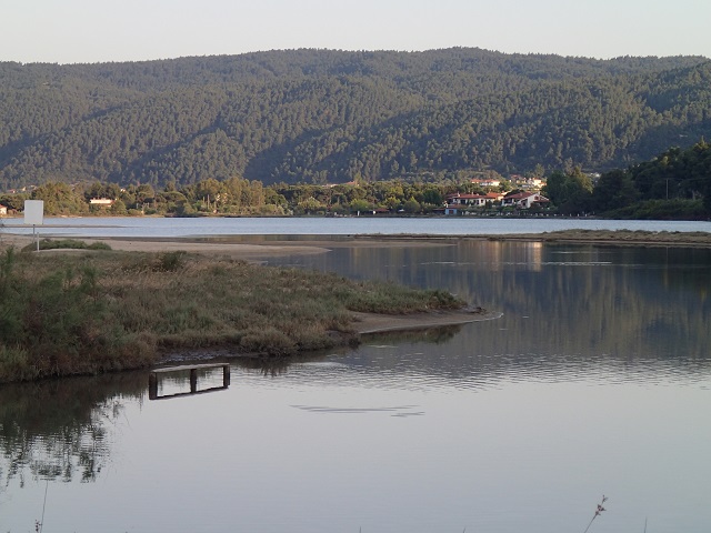 Foto.jpg