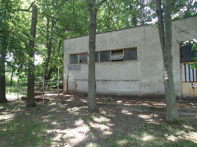Foto.jpg