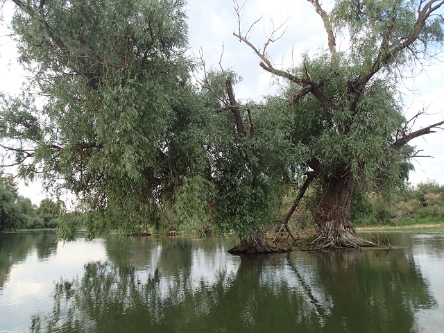 Foto.jpg