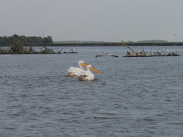 Foto.jpg