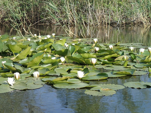 Foto.jpg