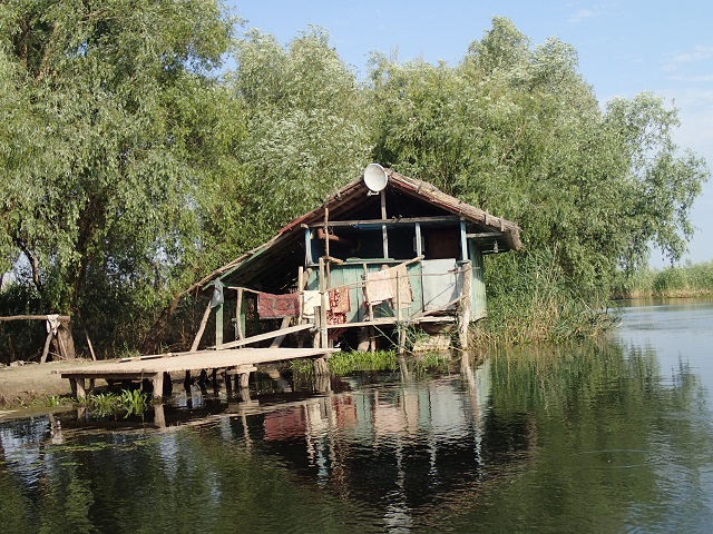 Foto.jpg