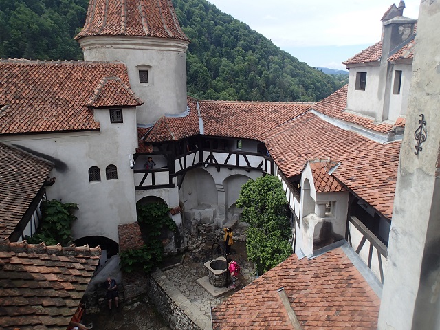 Foto.jpg