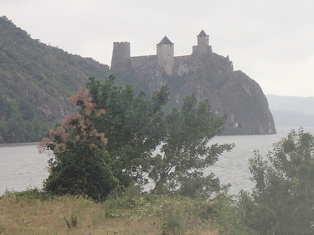 Foto.jpg